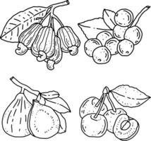 fruits line element design for templates. vector