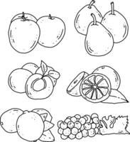 fruits line element design for templates vector