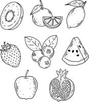 fruits line element design for templates. vector