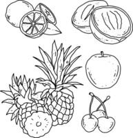 fruits line element design for templates vector