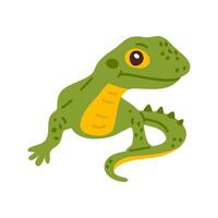 doodle baby lizard vector