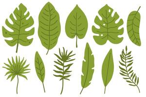 set of tropical leaves vector