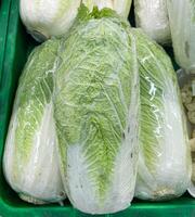 Napa cabbage or chinese cabbage in plastic wrap displayed on market photo