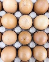 Brown eggs stacked in rows in paper tray. top view photo