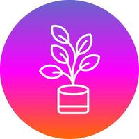 Ficus Line Gradient Circle Icon vector