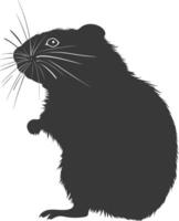 Silhouette hamster animal black color only full body vector