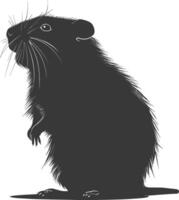 Silhouette hamster animal black color only full body vector