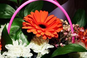 A bouquet of flowers in close-up photo