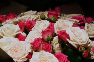 A bouquet of flowers in close-up photo