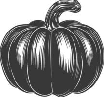 Silhouette pumpkin fruit black color only vector