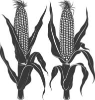 Silhouette corn black color only full vector