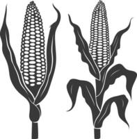 Silhouette corn black color only full vector