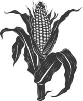 Silhouette corn black color only full vector