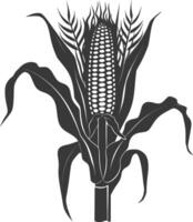Silhouette corn black color only full vector
