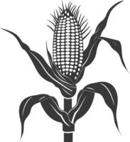 Silhouette corn black color only full vector