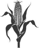 Silhouette corn black color only full vector