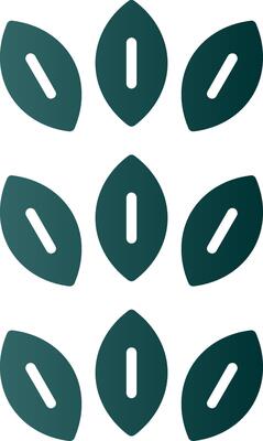 Sesame Glyph Gradient Icon