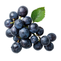 blauw druiven Aan geïsoleerd achtergrond png
