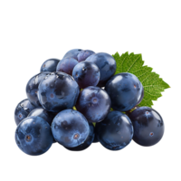 bleu les raisins sur isolé Contexte png