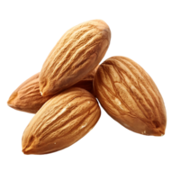 almond on isolated background png