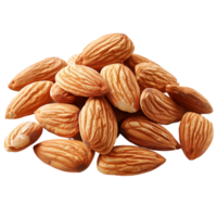 almond on isolated background png