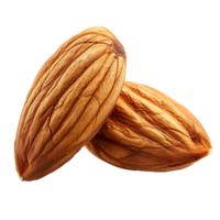 almond on isolated background png