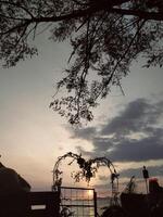 sunset view on the beach with tree branches photo