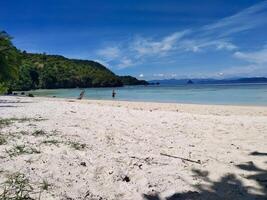 white sandy beach with a blue sky and trees photo