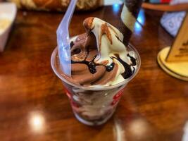 Astor's variation of chocolate ice cream with a spoon inside photo