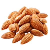 almond on isolated background png