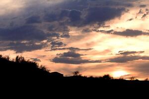 Dramatic view of sky with menacing clouds with silhouettes of plants in evening. Nature photo