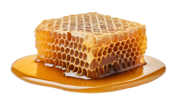 Realistic honeycombs with honey png