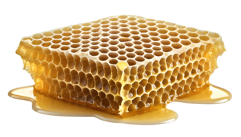 Illustration of honeycomb png