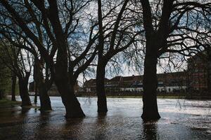 Silhouetted trees line a flooded urban street with historical buildings in the background, under a cloudy sky, conveying a moody and dramatic atmosphere in York, North Yorkshire, England. photo