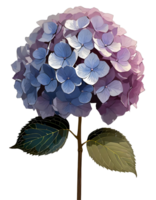 planten en bloemen png