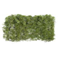 artificial grass indoor plant on isolated background png