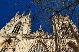 gótico catedral fachada con intrincado arquitectura y azul cielo fondo, enmarcado por desnudo árbol ramas en york, norte yorkshire, Inglaterra. foto