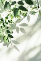 Sunlight Filtering Through Lush Green Leaves on a Bright Summer Day photo