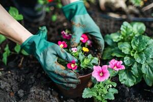 jardinero plantando brillantemente de colores flores en un vibrante jardín durante primavera foto