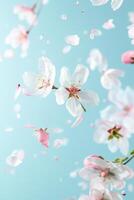 Assorted Spring Blossoms Artistically Scattered on a Soft Blue Background photo