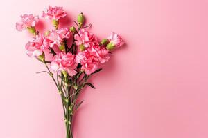 floreciente rosado claveles en contra un suave pastel rosado antecedentes foto