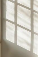 Soft Morning Light Filtering Through a Bedroom Window Casting Shadows of Leaves photo