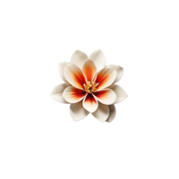 Blooming leavy flower isolated on transparent background png