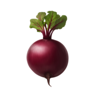 Beetroot isolated on transparent background png