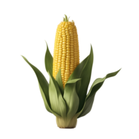 Corn isolated on transparent background png