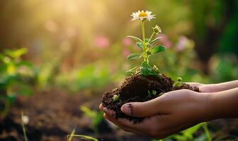 nutriendo crecimiento manos plantando joven planta en fértil suelo foto