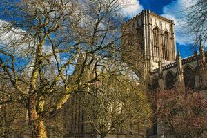 Historic cathedral with Gothic architecture, framed by leafless trees under a blue sky with fluffy clouds in York, North Yorkshire, England. photo