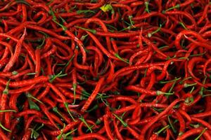 Top view of red chili pepper texture background photo