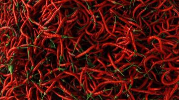 Top view of red chili pepper texture background photo