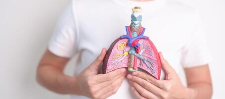 woman hold Smoker anatomy for Disease. Lung Cancer, Asthma, Chronic Obstructive Pulmonary or COPD, Bronchitis, Emphysema, Cystic Fibrosis, Bronchiectasis, Pneumonia and world Lung day concept photo